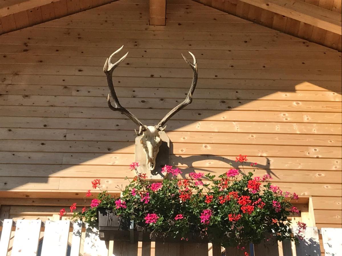 Alpenlodge Kirchbach Кирхбах Экстерьер фото