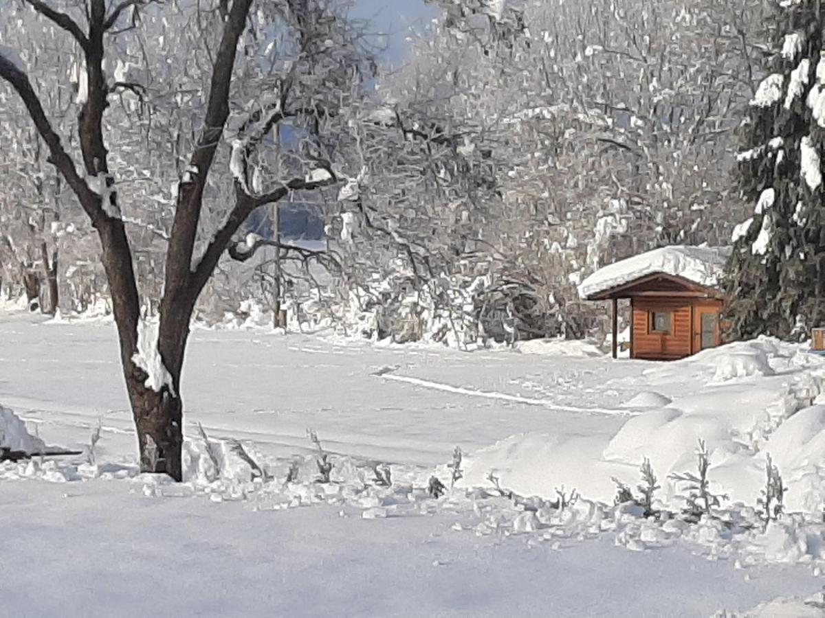 Alpenlodge Kirchbach Кирхбах Экстерьер фото