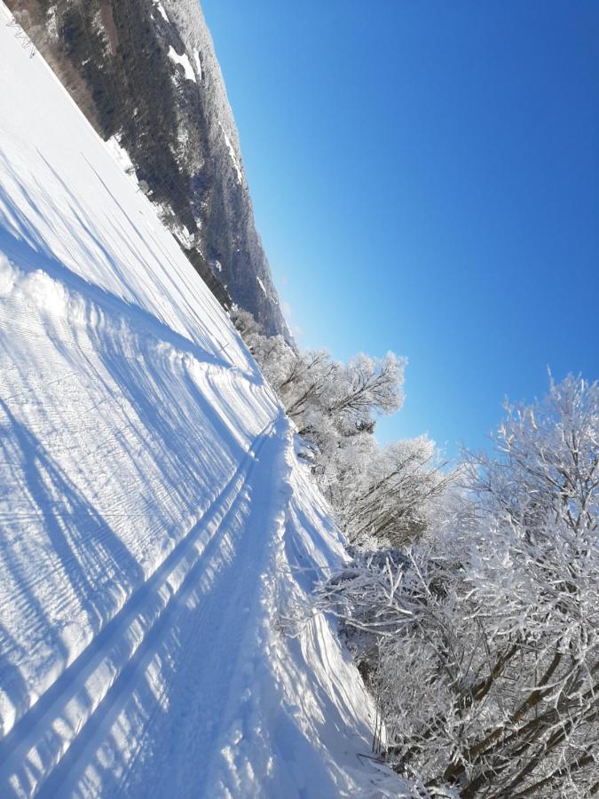 Alpenlodge Kirchbach Кирхбах Экстерьер фото