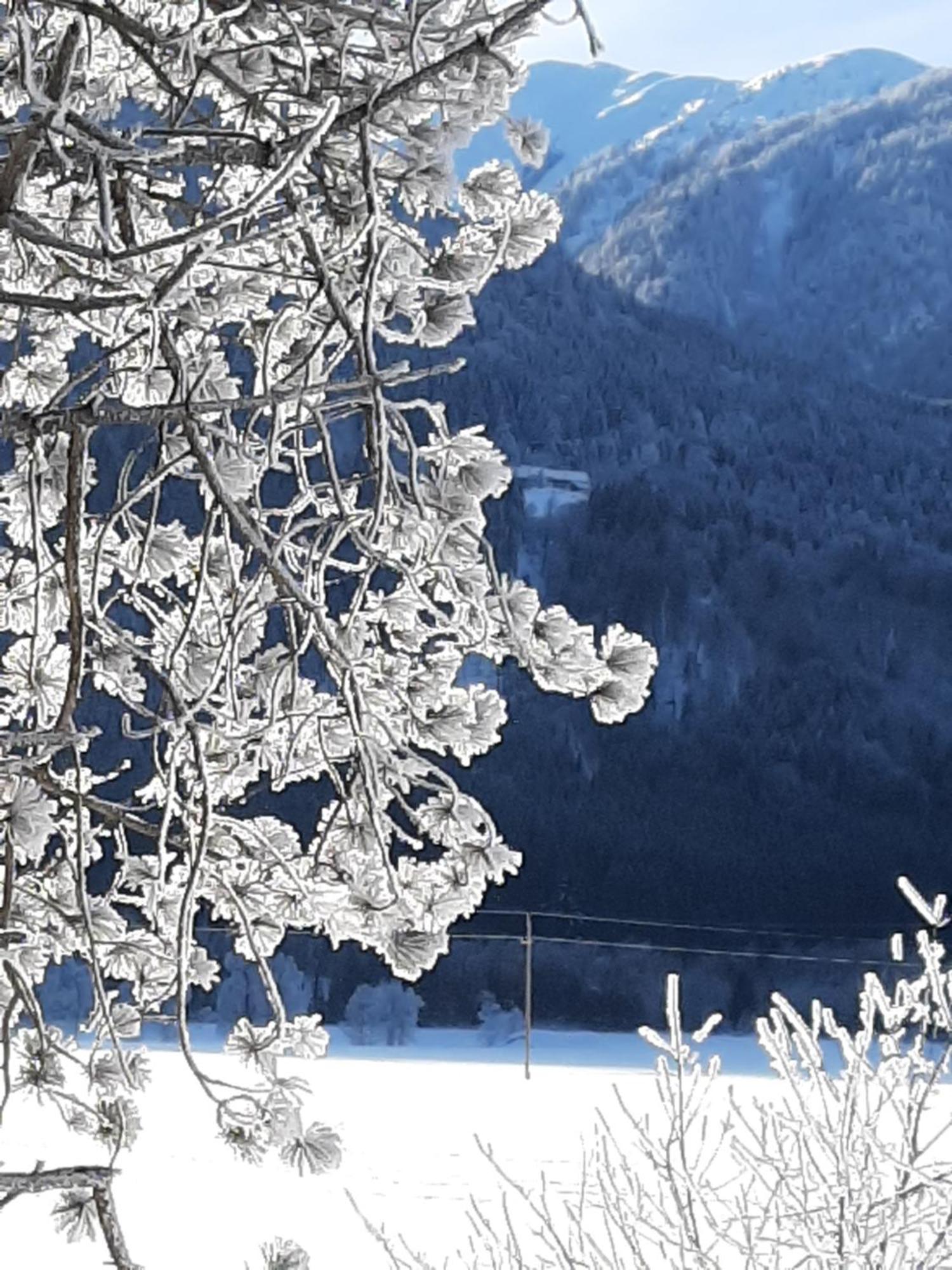 Alpenlodge Kirchbach Кирхбах Экстерьер фото